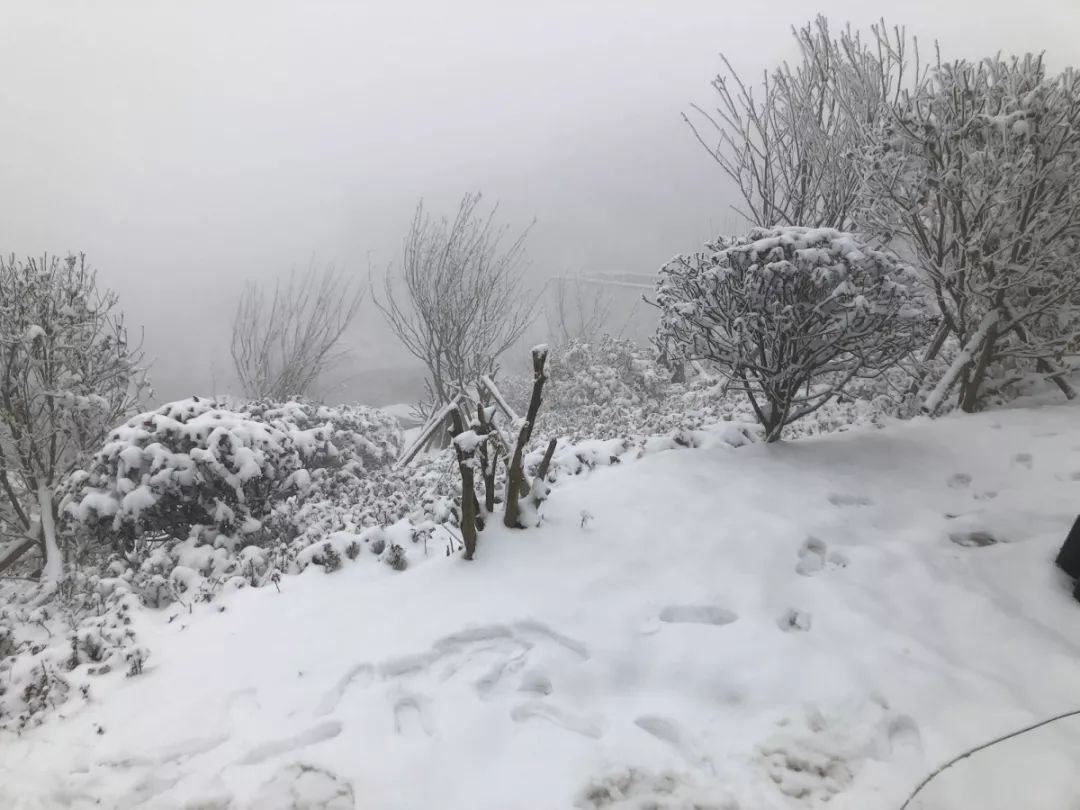 河南多地遭遇罕见大雪，如诗如画宛如童话世界