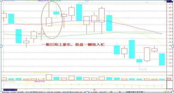 500万粉丝大揭秘