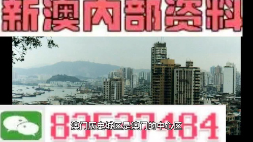 4949澳门精准免费大全小说_高级款67.481——构建数据驱动的文化