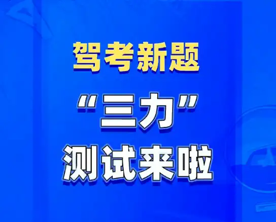 2024新奥资料免费精准_app57.339——行业趋势与展望