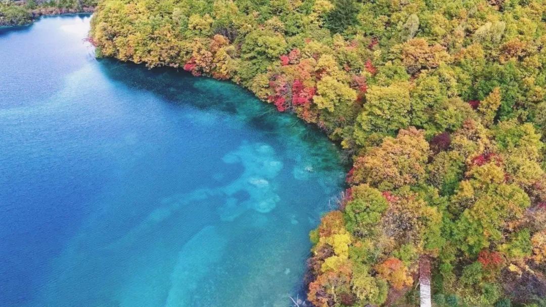 震惊！揭秘九寨沟景区40岁以上免门票传闻背后的真相！