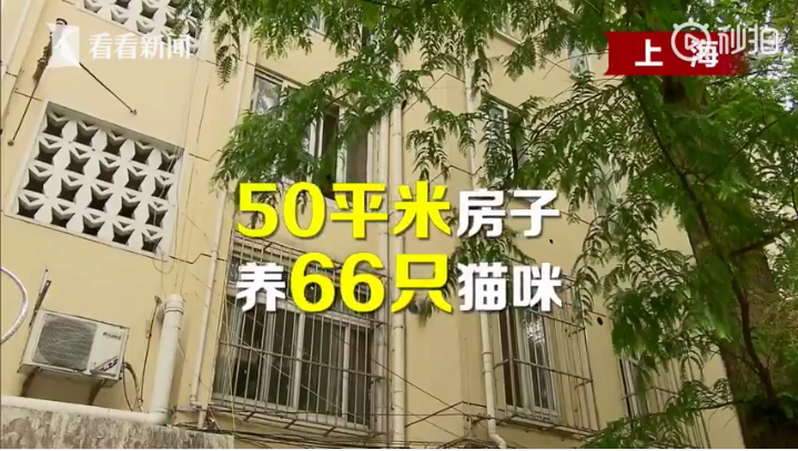 扛着房子搬家50米，一场不同寻常的搬迁之旅！