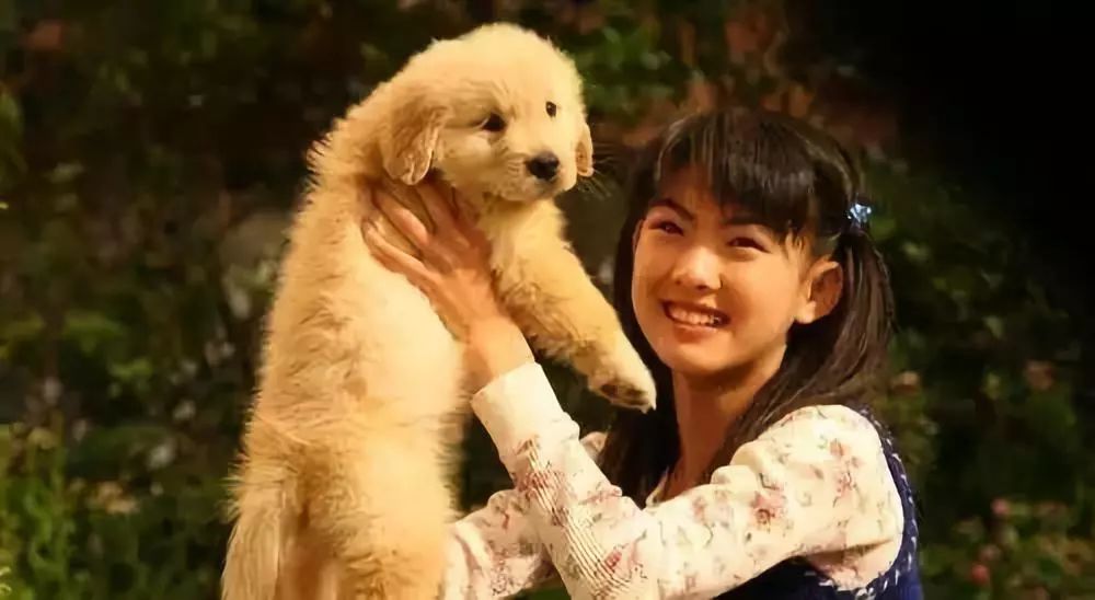 泪目！张子枫收养电影爱犬背后竟藏惊人隐情，暖心举动引爆全网热议！