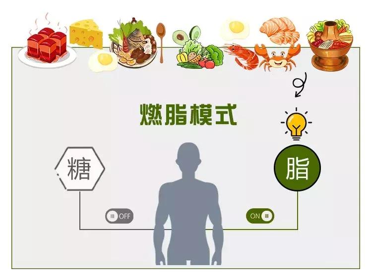 惊！不吃主食就能瘦？99%的人都不知道的真相！