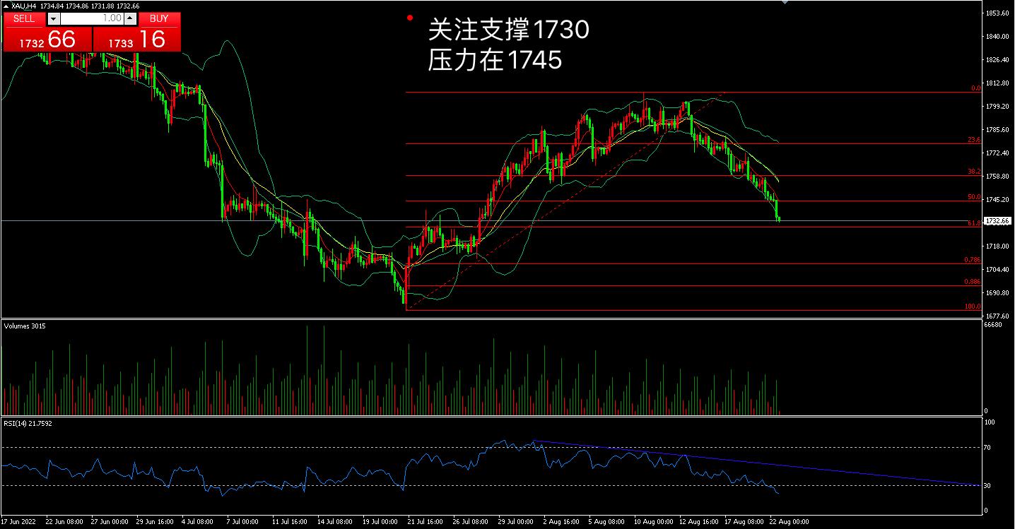 惊！金价深夜暴跌，未来是触底反弹还是继续下探？投资者该如何应对？